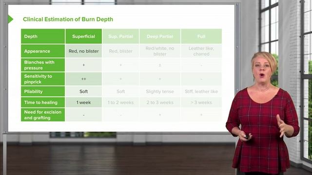 1.06 Burns- Clinical Estimation смотреть онлайн