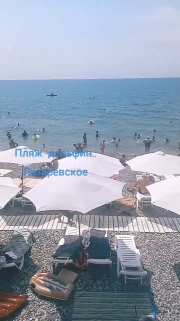 🌴 Пляж дельфин 🌴 смотреть онлайн