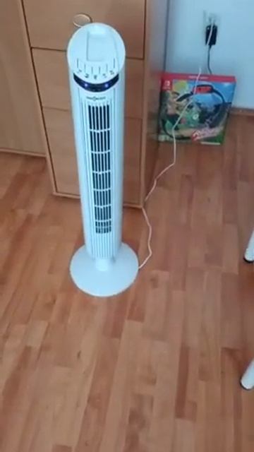 WhatsApp Video 2022 07 18 at 15 38 57 смотреть онлайн