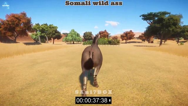 Donkey? More donkeys! See you at Planet Zoo! | North American, Somali, Onager, Kiang-donkeys смотреть онлайн