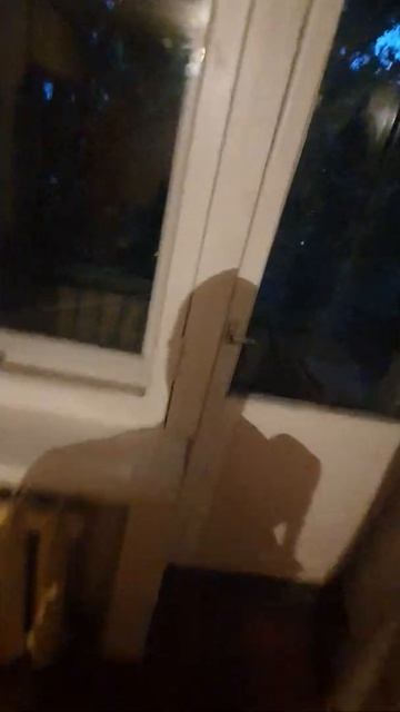 Аренда Долгопрудная центральная дом 8 смотреть онлайн