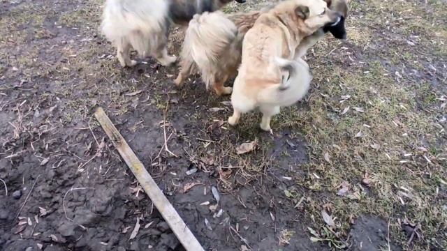 Подсмотрел у китайцев сломался опрыскиватель!!! смотреть онлайн