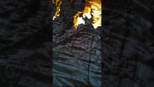 Кошачий тихий час смотреть онлайн