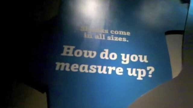 Mississippi Museum of Natural Science: Megalodon смотреть онлайн