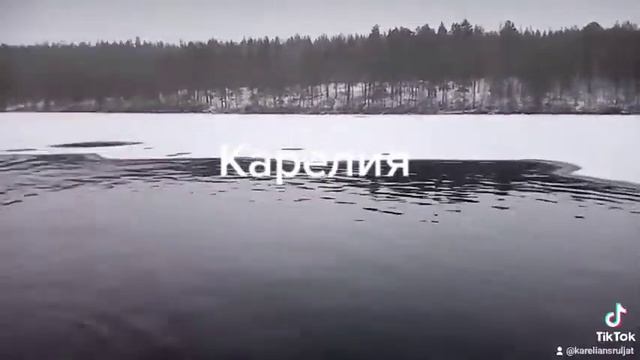 4 ноября 2021 г. смотреть онлайн