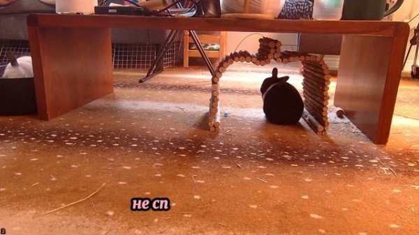 Капризная свекровь -Никогда и ни в чём свекрови не угодишь - интересные истории. - Слушать рассказы