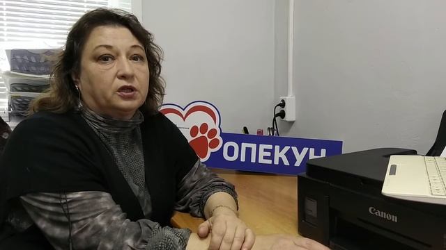 #фондпрезидентскихгрантов #собачийпатруль #будущеезаопекунством смотреть онлайн