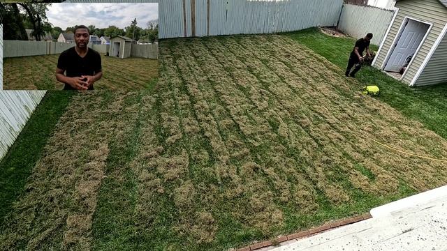 No Aerator?? No Problem Use This Method Instead To Overseed Your Lawn смотреть онлайн