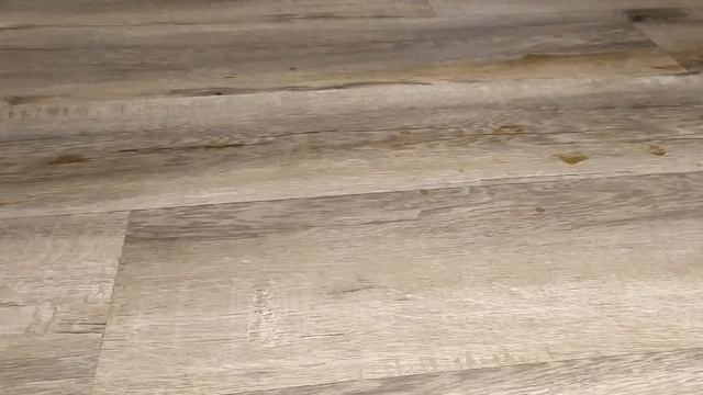 iRobot M6拖地效果實測 смотреть онлайн