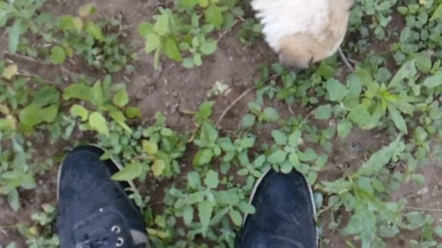 В добрые руки... смотреть онлайн