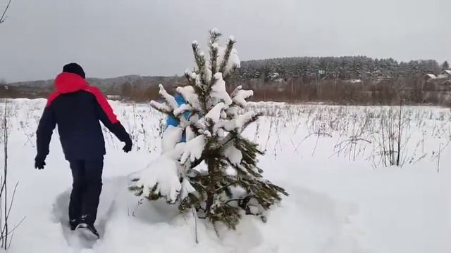 В лесу родилась ёлочка) смотреть онлайн