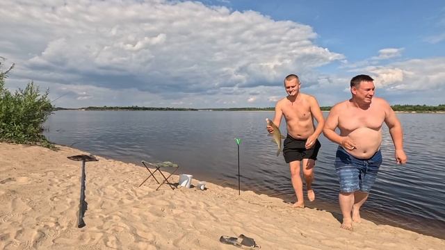 Северная Двина Поймал Леща #рыбалка #фидер #фидернаярыбалка смотреть онлайн