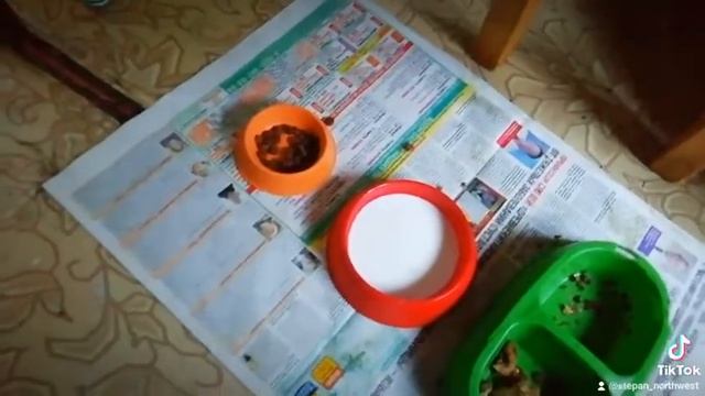 Пей молочко / Drink milk смотреть онлайн