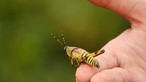 Учим названия и звуки насекомых  Пчела Комар Бабочка Божья коровка