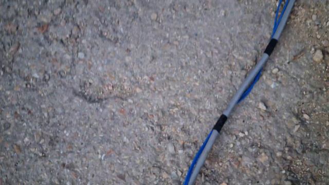 25 марта 2024 г. смотреть онлайн