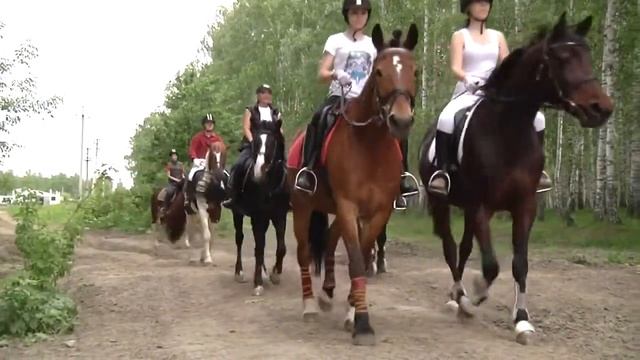 КСРК "Аристократъ" 2014г