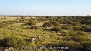 СБОРНИК ЧУВАШСКИХ ПЕСЕН 2024 | #5