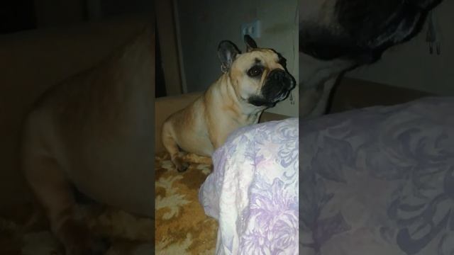 Несколько дней и часов до родов. смотреть онлайн