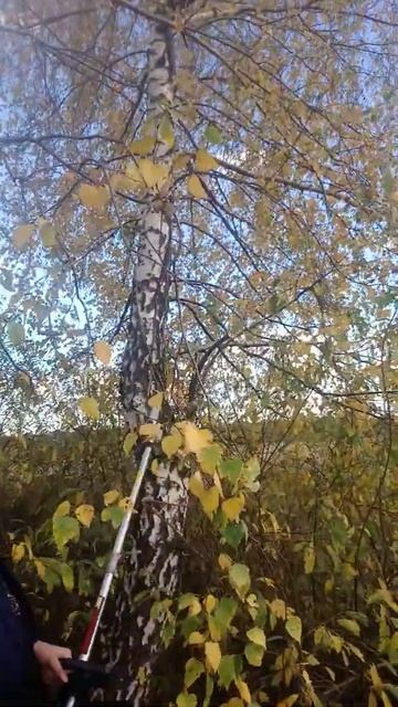Насадка ПИЛЯТЬ CSA100 в руках девушки 👭 пилит, как мужчина 👨 из Кентукки. смотреть онлайн