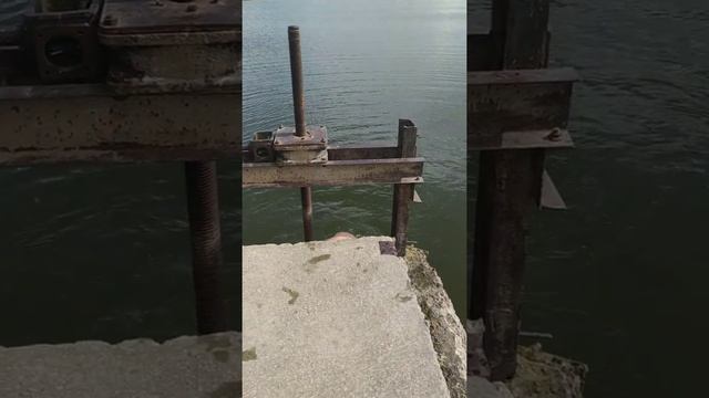 Даник купается на озере смотреть онлайн