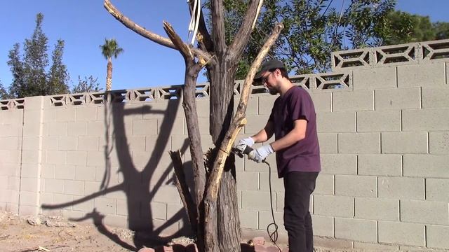 Reviews || Harbor Freight Warrior Wood Carving Disc for Angle Grinders смотреть онлайн