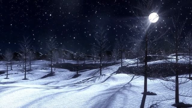Winter Landscape. Background Video Without Sound, Without Music