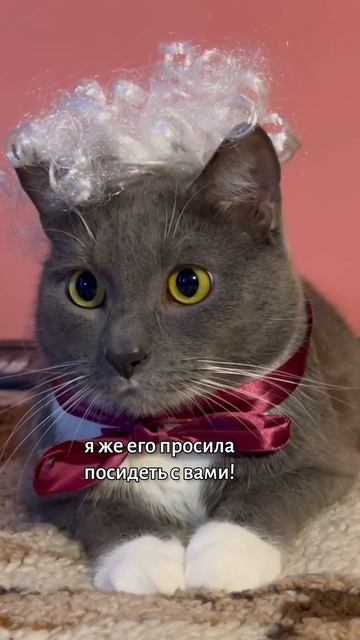 ЕСЛИ БЫ КОТИКИ ХОДИЛИ В ШКОЛУ - ПИРОЖКИ смотреть онлайн