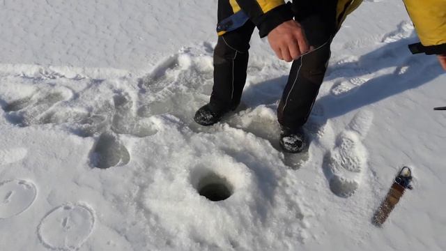 щука клюёт смотреть онлайн