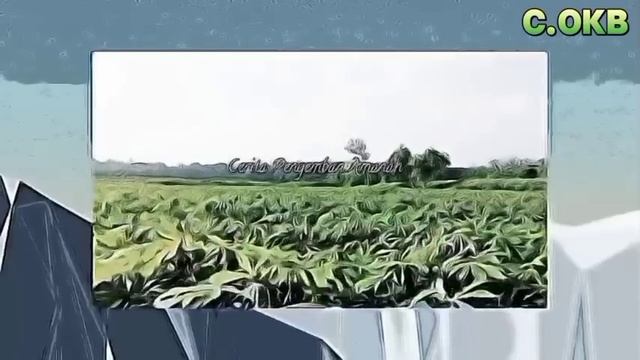 Sesuai Aturan langsung A1 Realisasi Dana di alirkan Ke Karywan itu Awal bulan Juni 2024 смотреть онлайн