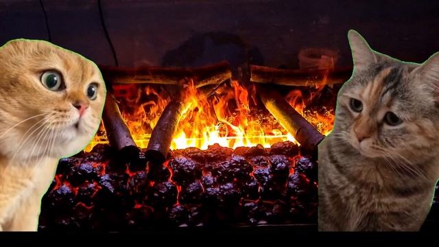 Делаю паровые электрокамины 3d. на заказ любой размер . 🔥 смотреть онлайн