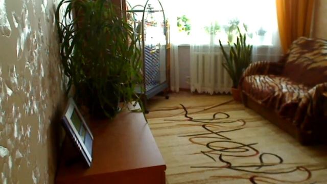 Жако Кима. Болтушка смотреть онлайн