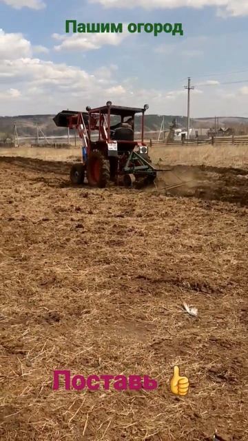 Пашим огород. Трактор т25. Плуг на т25 #videoshort смотреть онлайн