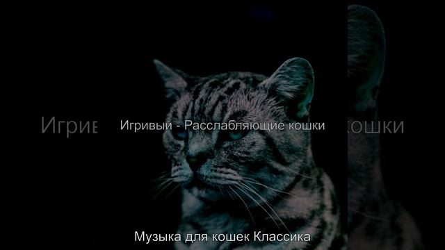 Звуки (Кошки)