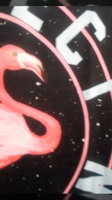 Store Soma - Tshirt Flamingo Rosa смотреть онлайн