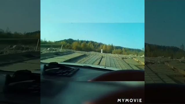 Мои ПИТОМЦЫ 🐈🐈🐕🐕 Последние теплые деньки ☀️ смотреть онлайн