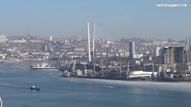 Владивосток бухта Золотой рог с сопки Крестовой (3 февраля 2023). смотреть онлайн