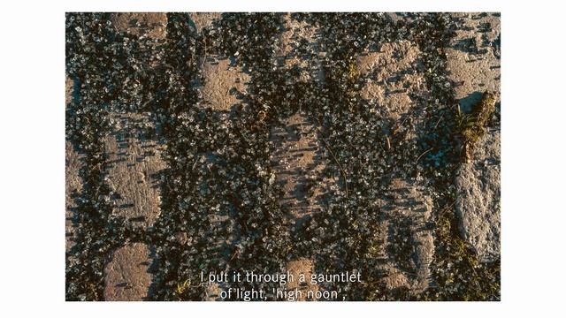 Leica SL3 - A hybrid in Hand смотреть онлайн