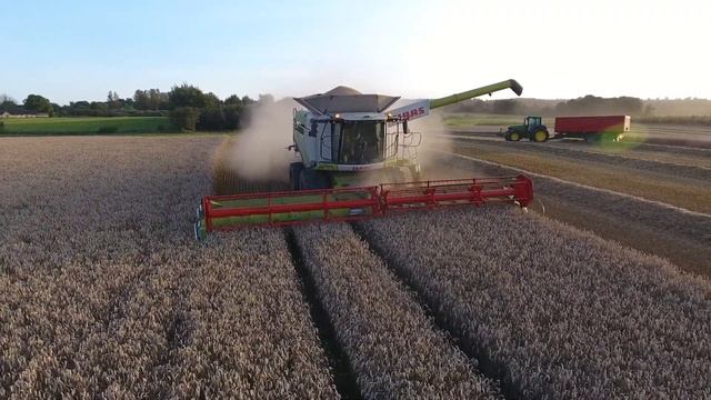 Hvedehøst 2017 // 2 x Lexion 770 смотреть онлайн