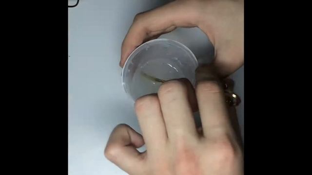 ПРОВЕРКА КЛЕЯ/ ИСПОРТИЛА СТОЛ/ ПОКУПАТЬ ИЛИ НЕ СТОИТ😥💓 смотреть онлайн