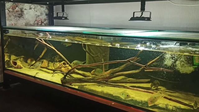 Свежие Новости смотреть онлайн