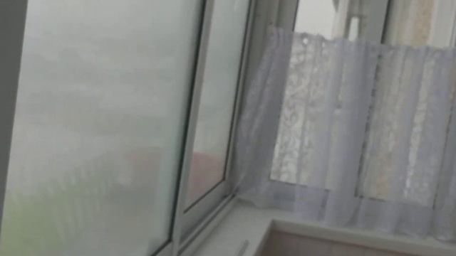 Голуби пьют воду. 21. ноября 2021. смотреть онлайн