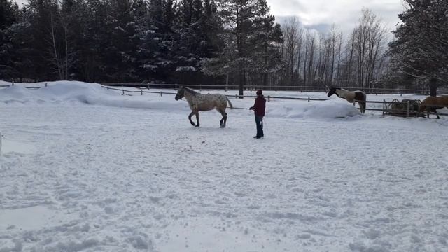 Fiona troisième partie смотреть онлайн