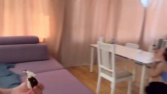 Влог: весь день с подругой || la_gushka🐸 смотреть онлайн