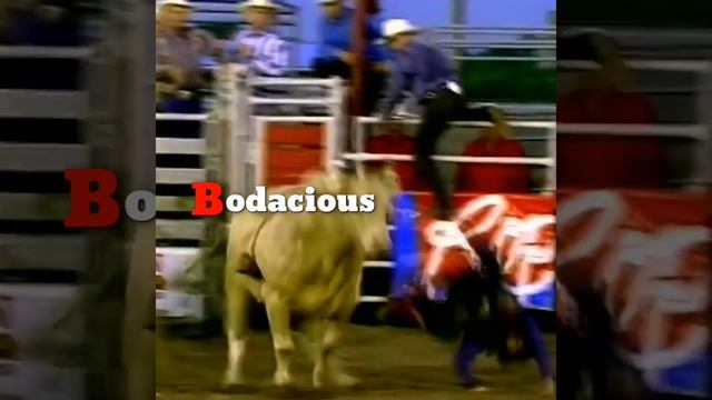 Bodacious Dangerous Bull Of The World #shorts