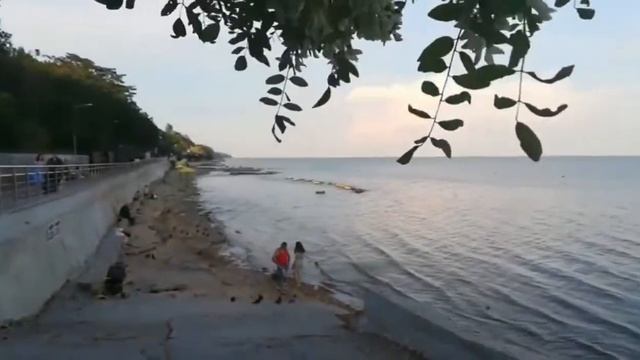 Дорогая Фаина Борисовна! Привет из Таганрога! смотреть онлайн