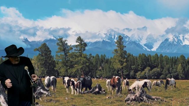 Wild Horses a Rolling Stones COVER смотреть онлайн