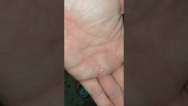 не горит газовая плита смотреть онлайн