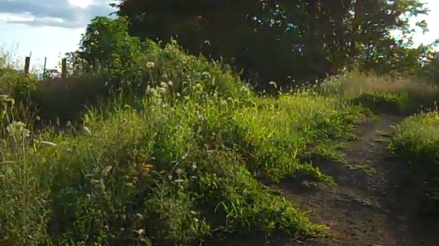 Dathan Hyle 238 смотреть онлайн