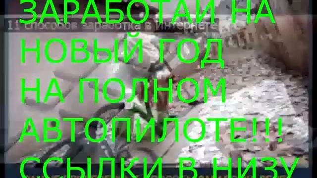 дом книги часы работы смотреть онлайн