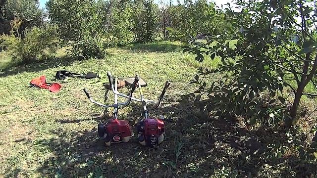 Истории одного дня #7 смотреть онлайн